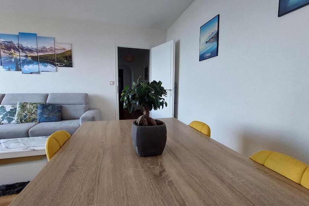 Appart Cosy Avec Vue Sur Le Lac Leman Évian-les-Bains Eksteriør bilde