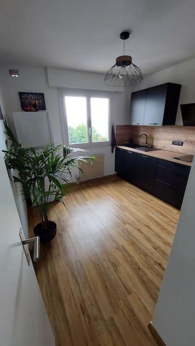 Appart Cosy Avec Vue Sur Le Lac Leman Évian-les-Bains Eksteriør bilde